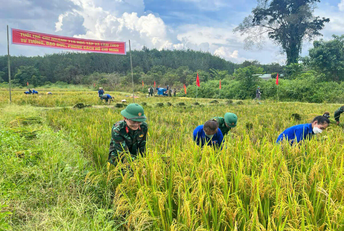 Chi nhánh 716: Góp phần xây dựng vùng biên giàu mạnh