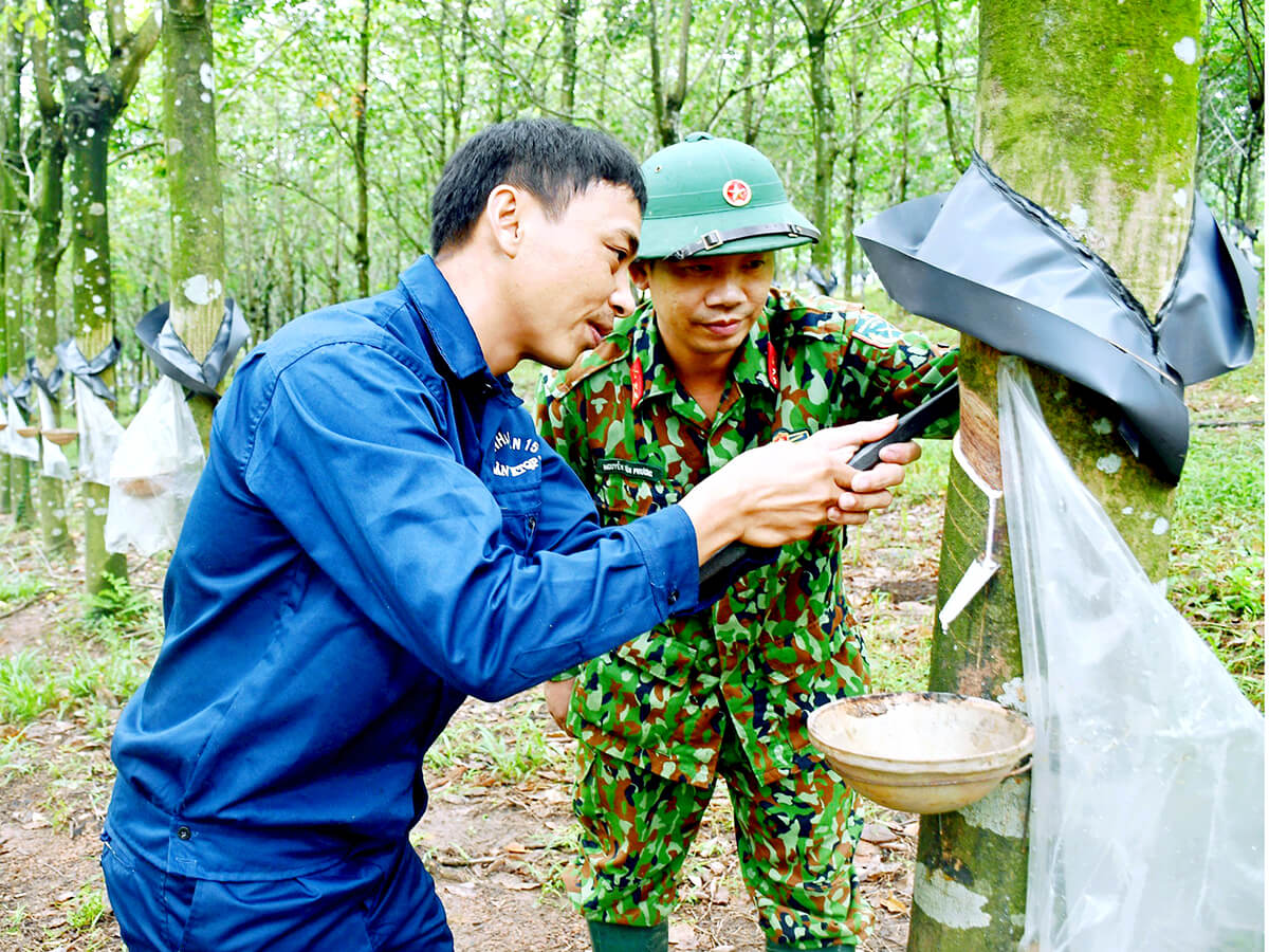 Chú trọng đổi mới trong công tác kỹ thuật công nghệ Binh đoàn năm 2024