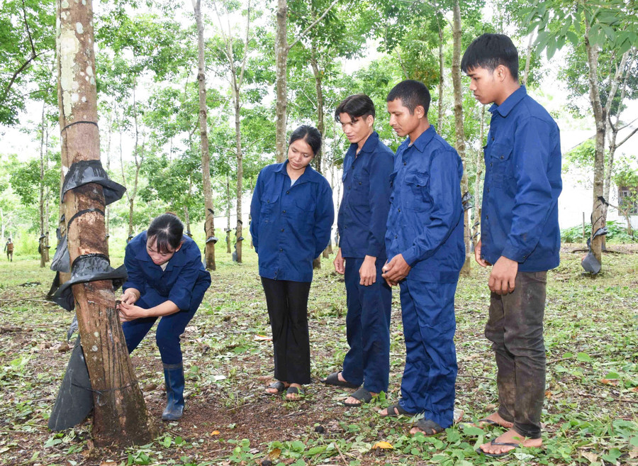 Chi nhánh Công ty 75 thông báo tuyển dụng