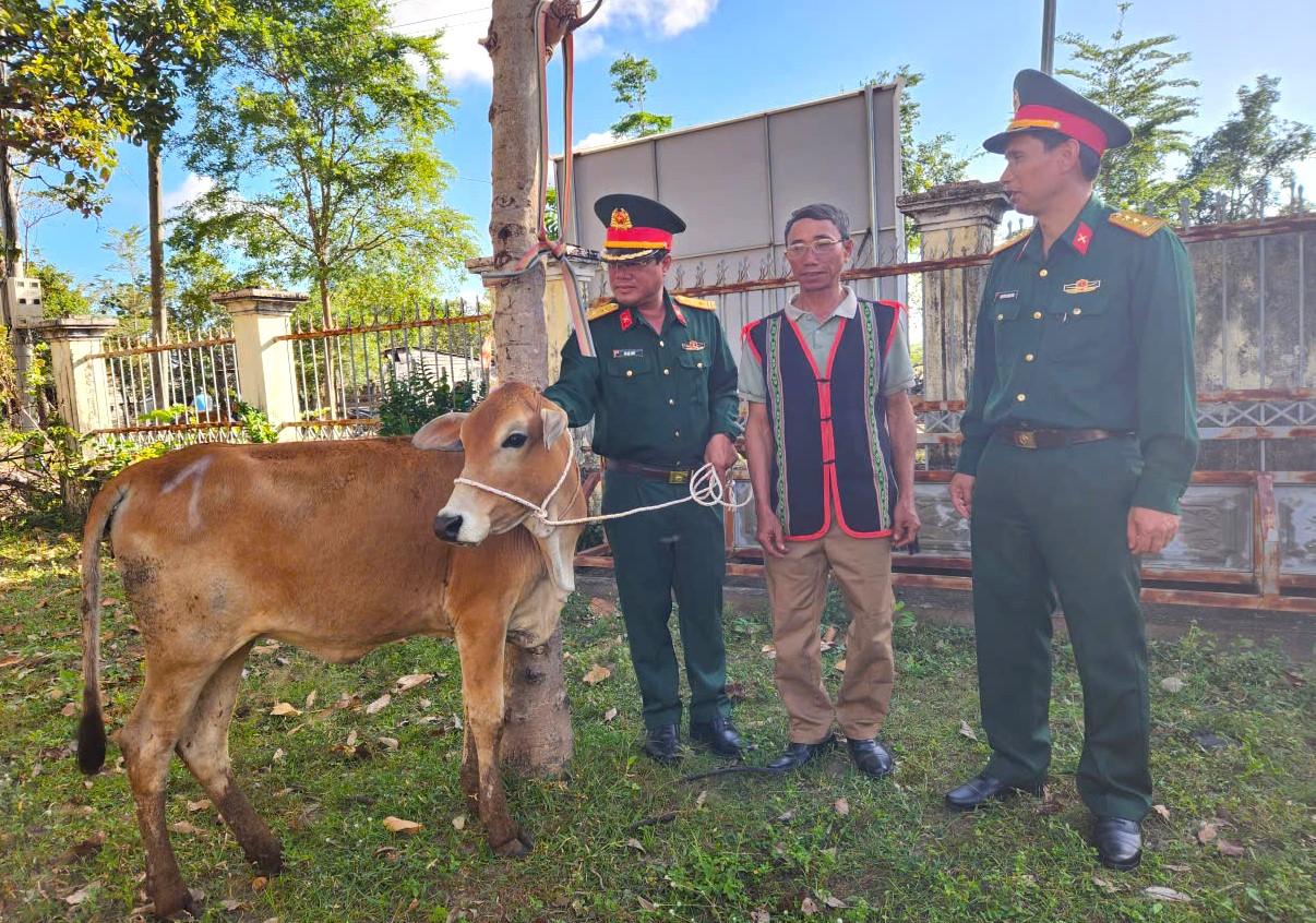 Đoàn KT-QP 710: Hỗ trợ sinh kế gắn với giữ vững an ninh biên giới tại Ia Mơ và Ia Pia