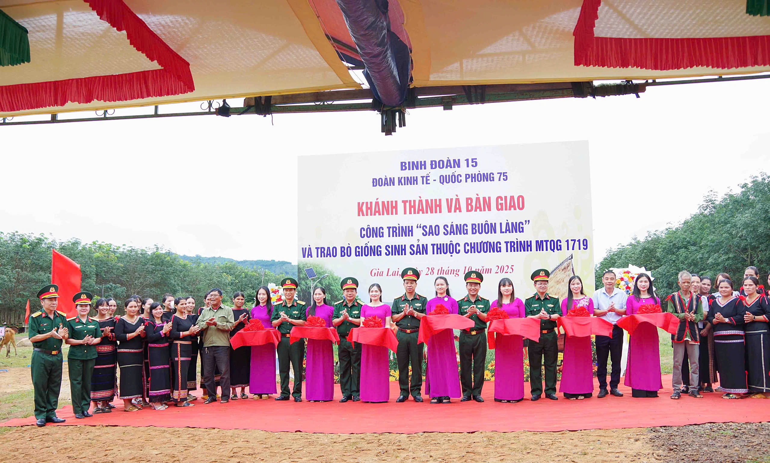 gen-h-z7164431002577_62e785f9606dca47eeeaddcc9bc7ca9f