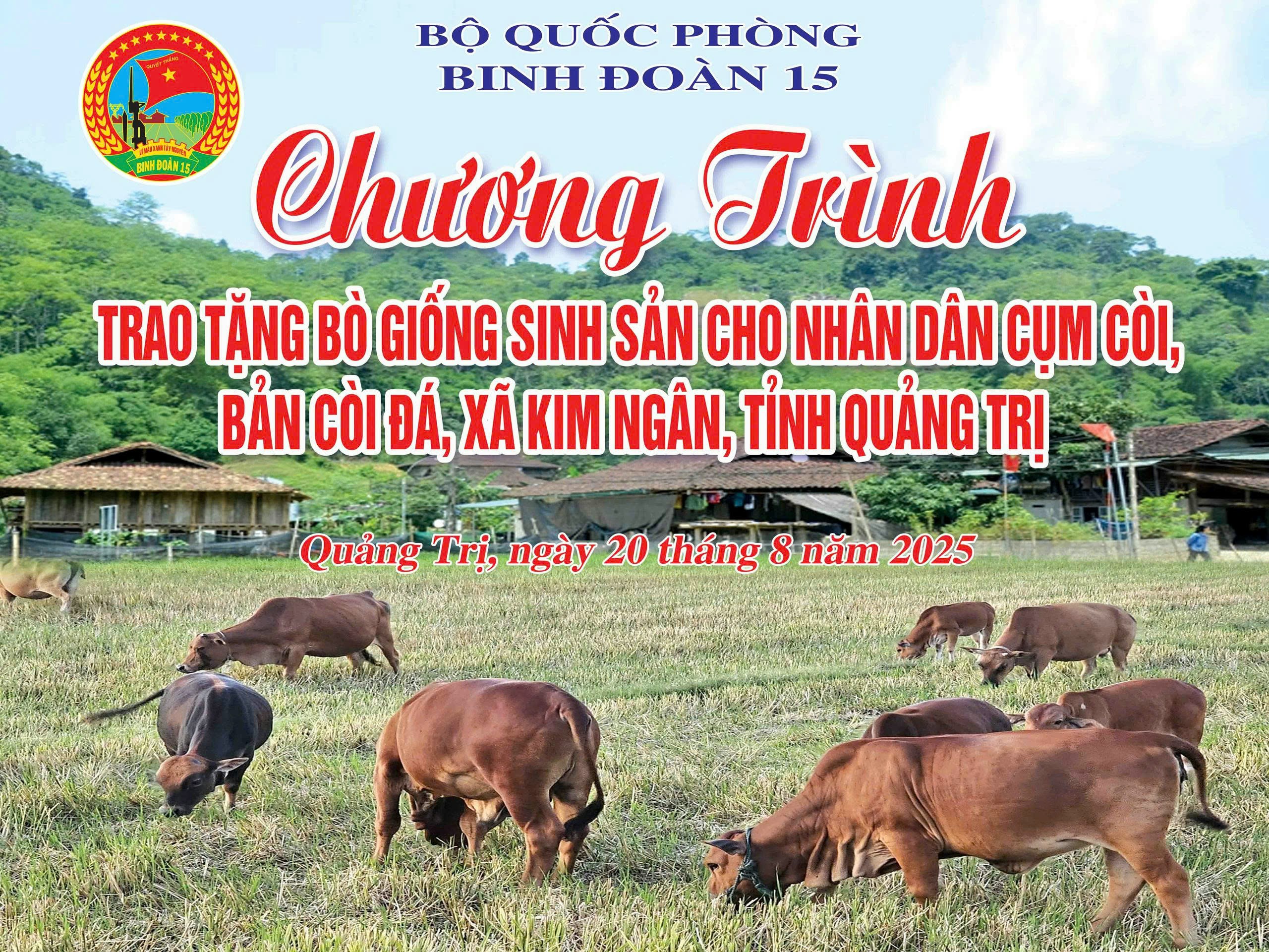 Binh đoàn 15 trao bò giống sinh sản tặng người dân khó khăn tại xã Kim Ngân, tỉnh Quảng Trị