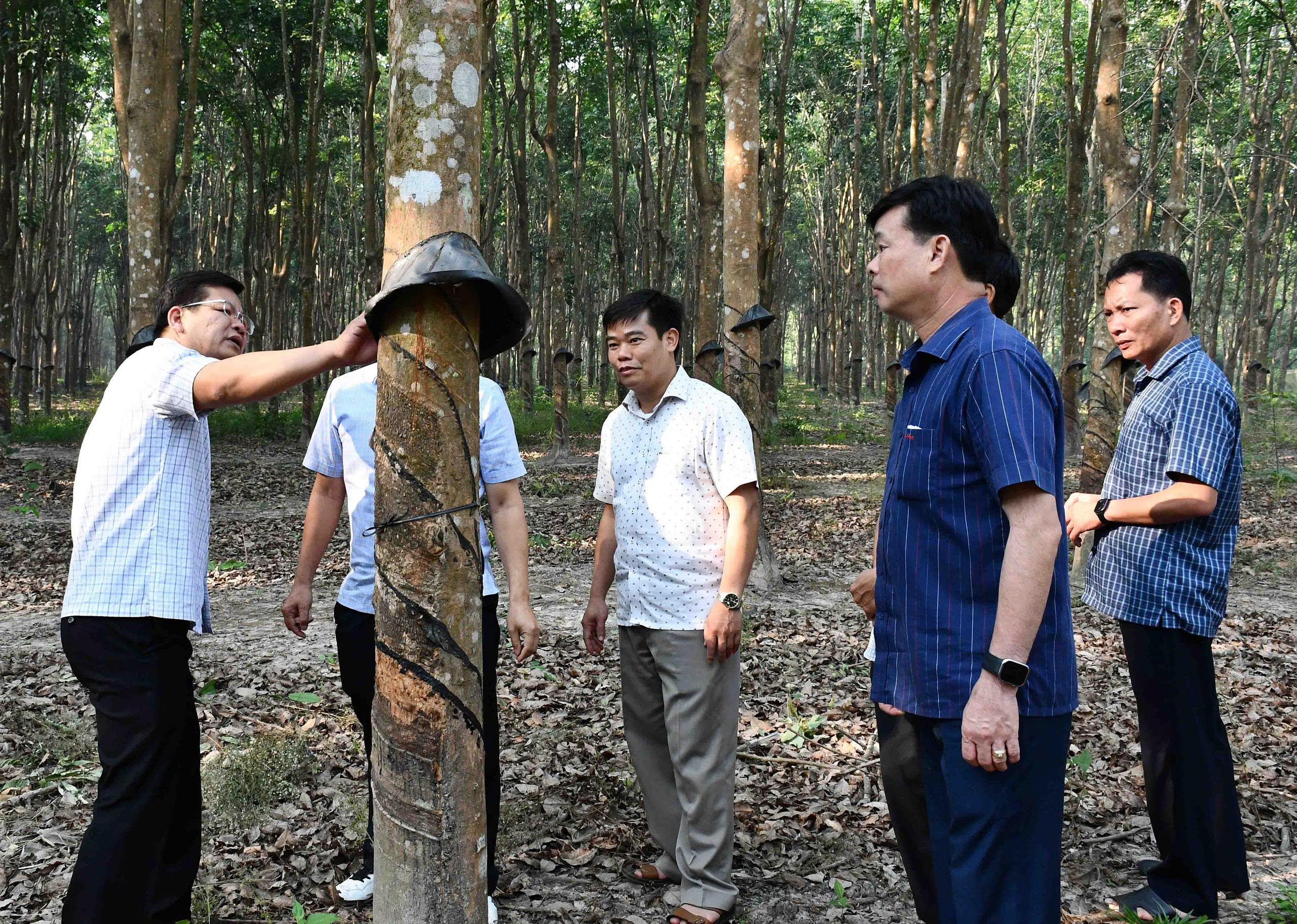 z7683767220326_98d5192714aee6367c72c764a89fc508